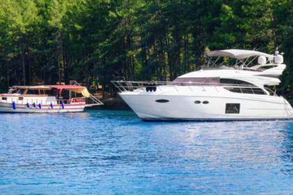 Boat Charters
